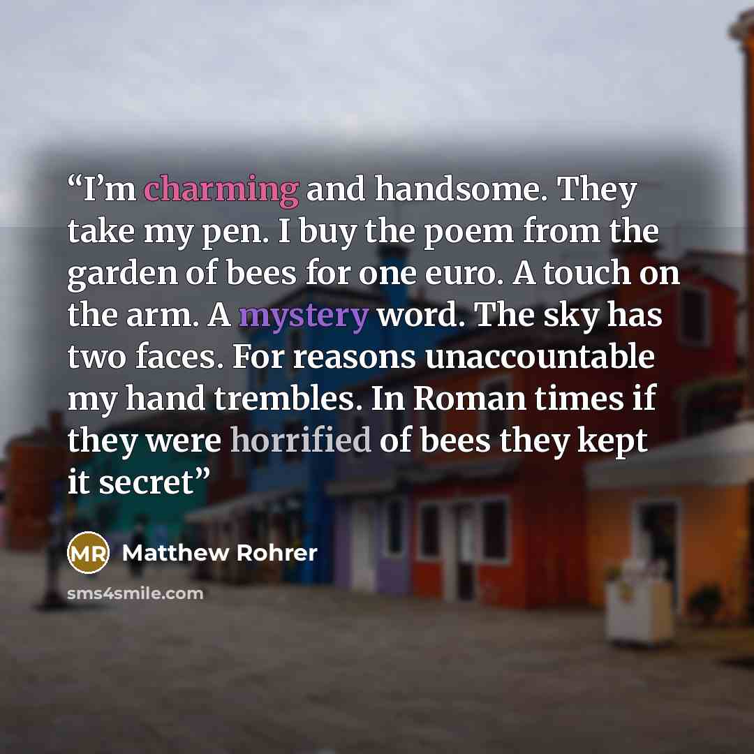 “I’m charming and handsome. They take my pen. I buy the poem from the garden of bees for one euro. A touch on the arm. A mystery word. The sky has two faces. For reasons unaccountable my hand trembles. In Roman times if they were horrified of bees they kept it secret” quote by Matthew Rohrer