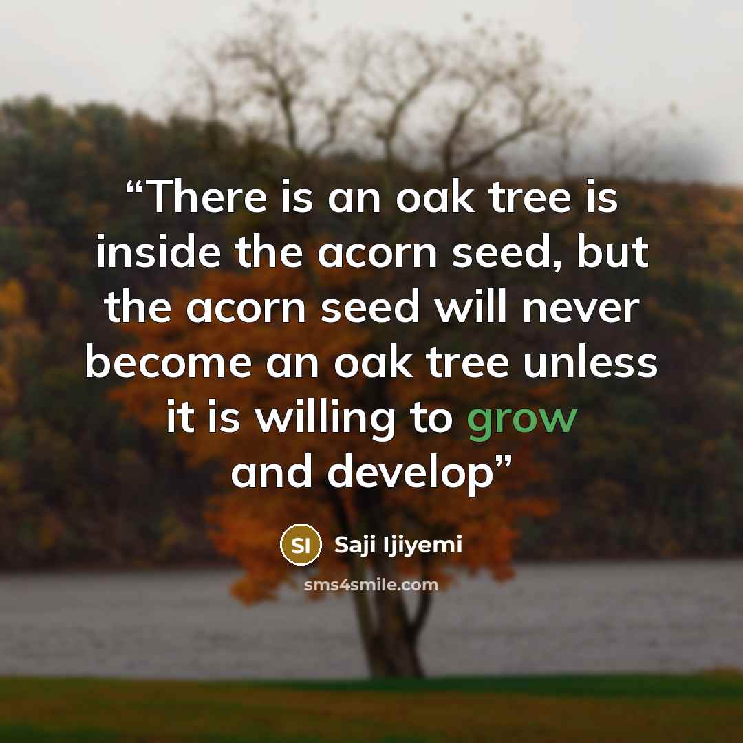 “There is an oak tree is inside the acorn seed, but the acorn seed will never become an oak tree unless it is willing to grow and develop” quote by Saji Ijiyemi