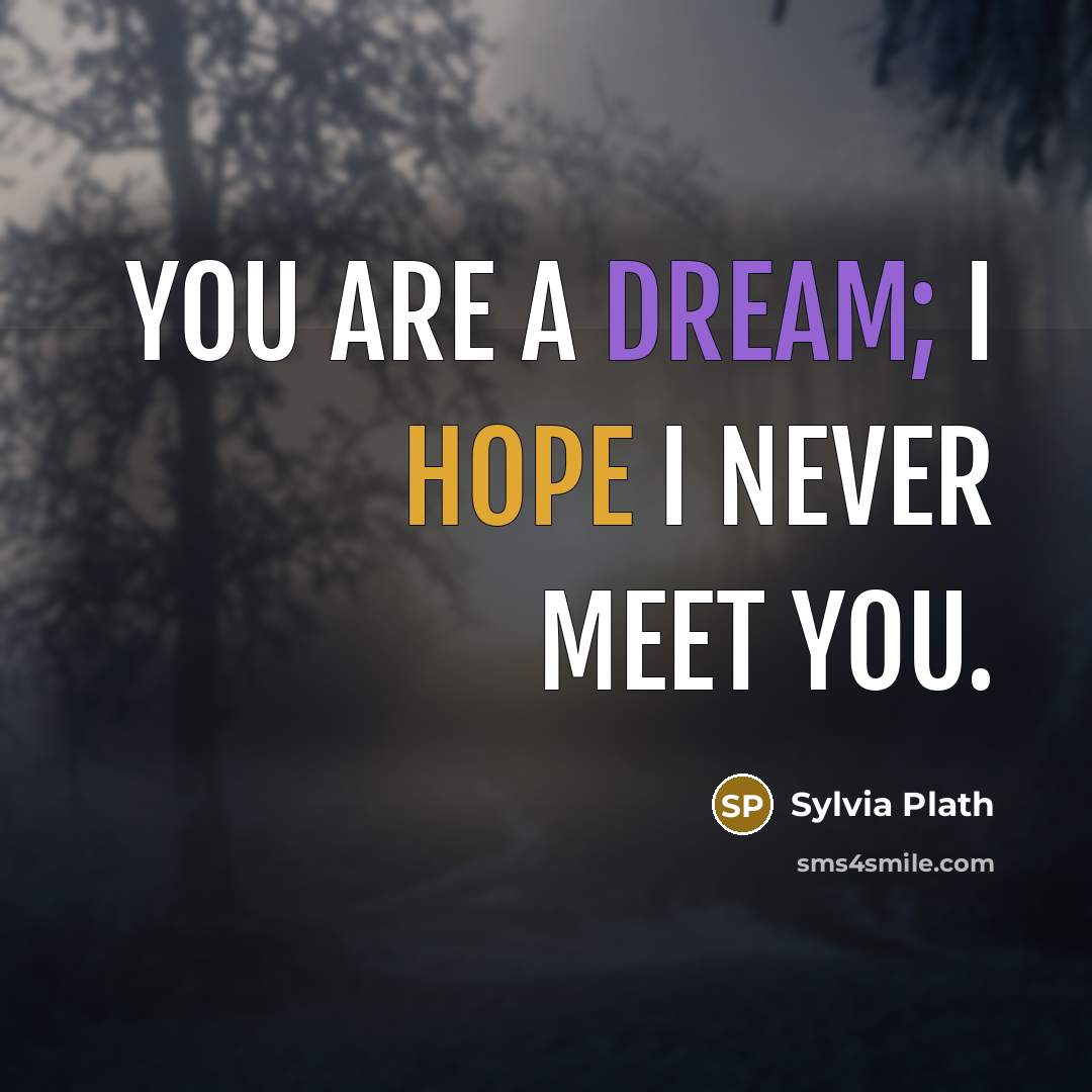 “You are a dream; I hope I never meet you.…” quote by Sylvia Plath