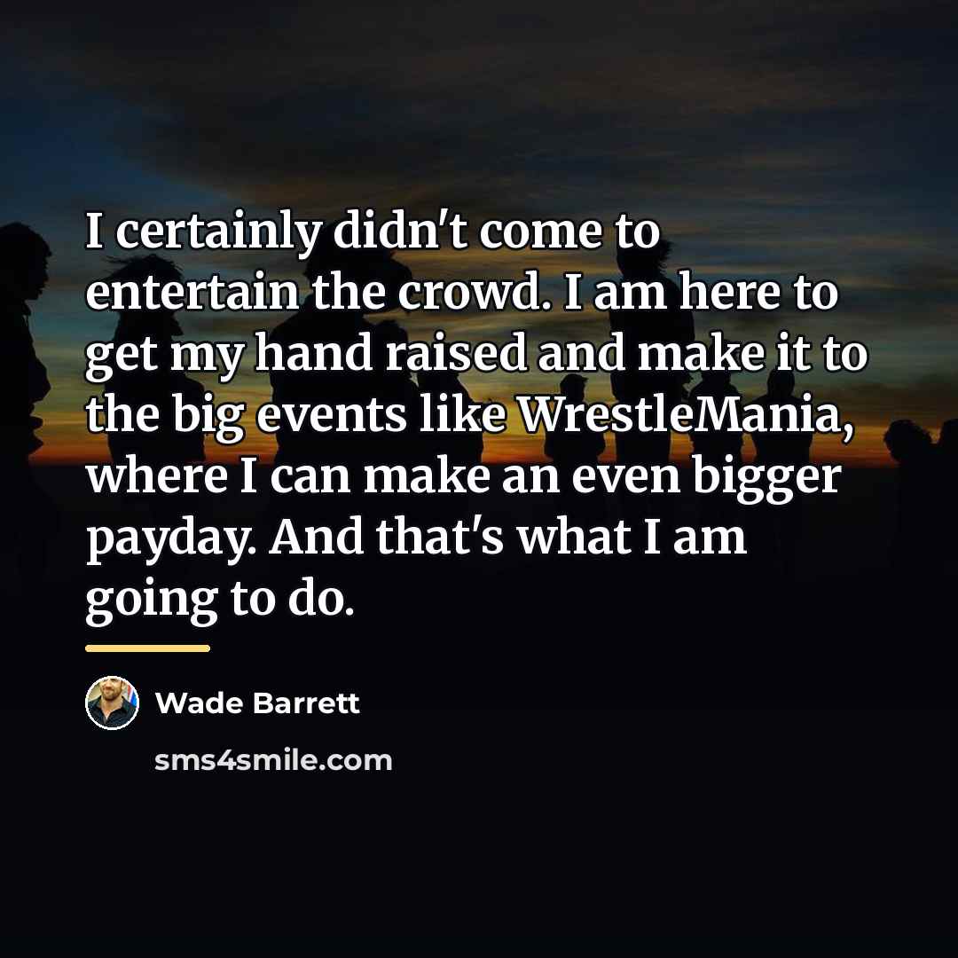 “I certainly didn't come to entertain the crowd. I am…” quote by Wade Barrett