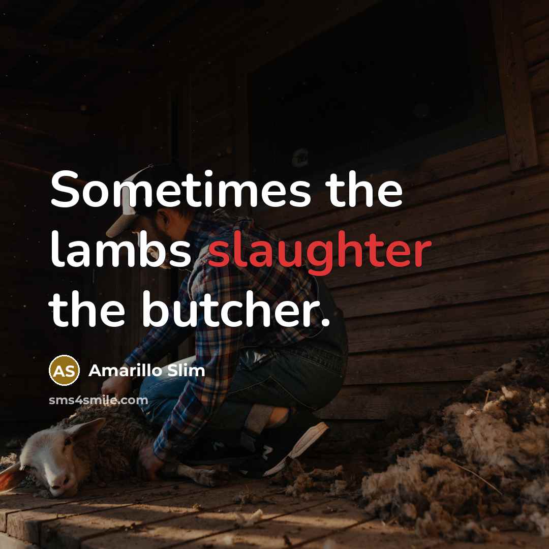“Sometimes the lambs slaughter the butcher.…” quote by Amarillo Slim