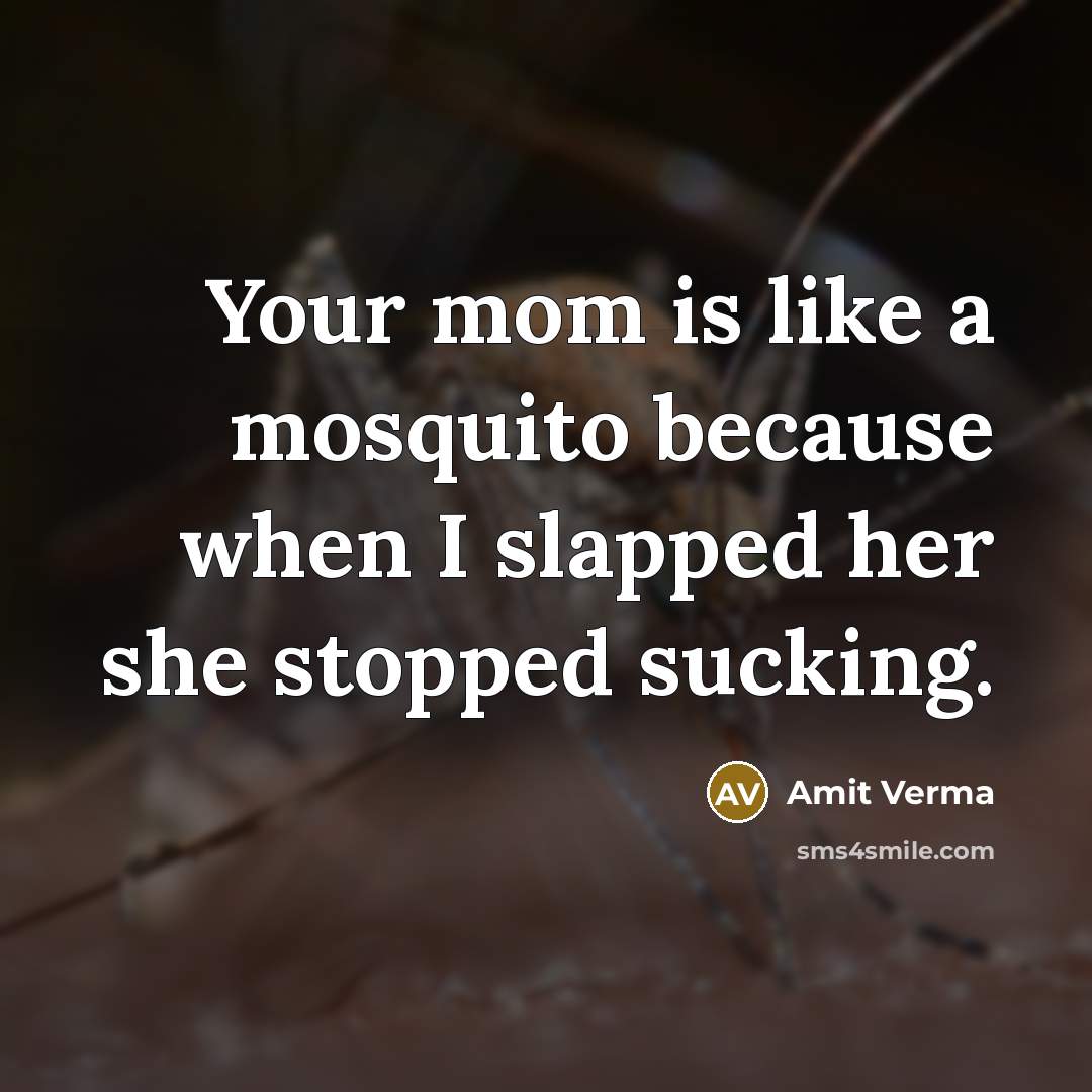 “Your mom is like a mosquito because when I slapped…” quote by Amit Verma