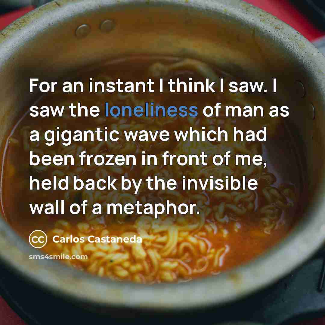 “For an instant I think I saw. I saw the…” quote by Carlos Castaneda