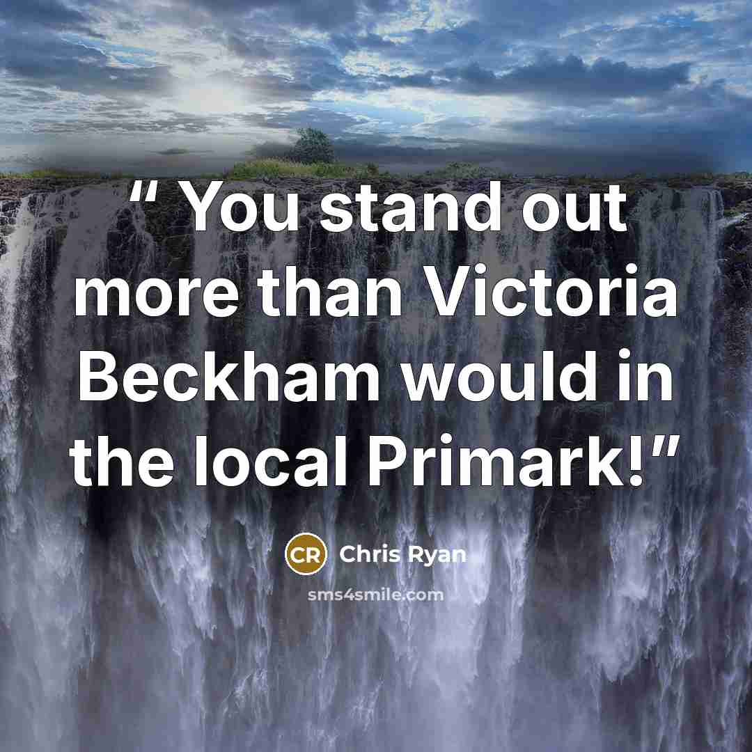 “You stand out more than Victoria Beckham would in the local Primark!” quote by Chris Ryan