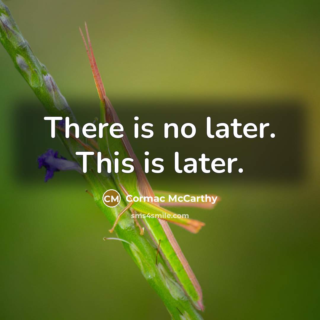 “There is no later. This is later.…” quote by Cormac McCarthy