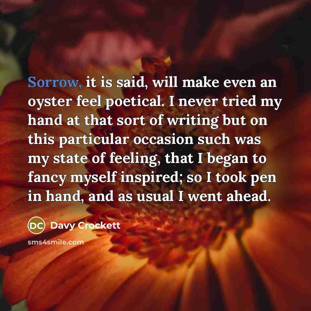 “Sorrow, it is said, will make even an oyster feel…” quote by Davy Crockett