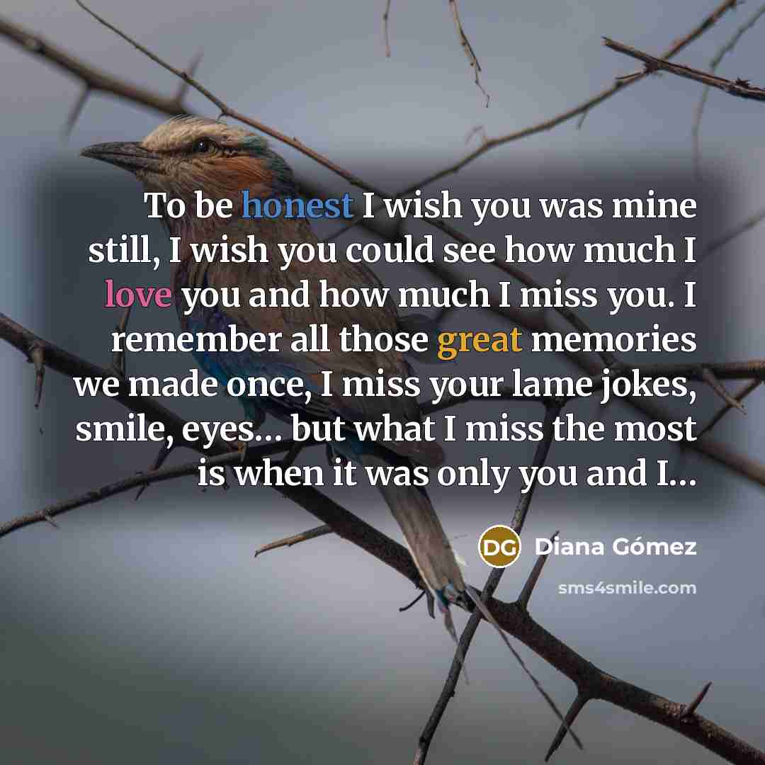 “To be honest I wish you was mine still, I wish you could see how much I love you and how much I miss you. I remember all those great memories we made once, I miss your lame jokes, smile, eyes… but what I miss the most is when it was only you and I…” quote by Diana Gómez