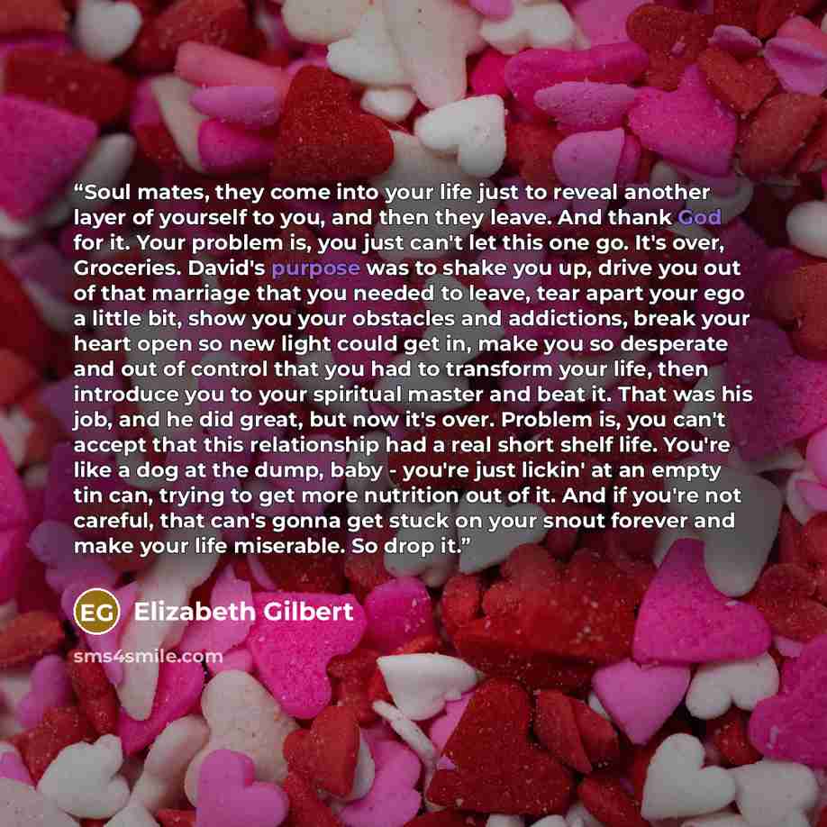 “Soul mates, they come into your life just to reveal another layer of yourself to you, and then they leave. And thank God for it. Your problem is, you just can't let this one go. It's over, Groceries. David's purpose was to shake you up, drive you out of that marriage that you needed to leave, tear…” quote by Elizabeth Gilbert