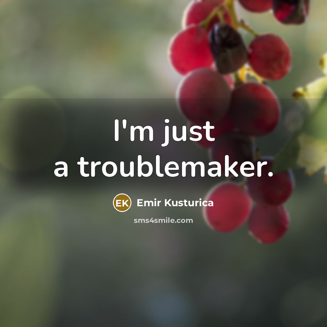 “I'm just a troublemaker.…” quote by Emir Kusturica
