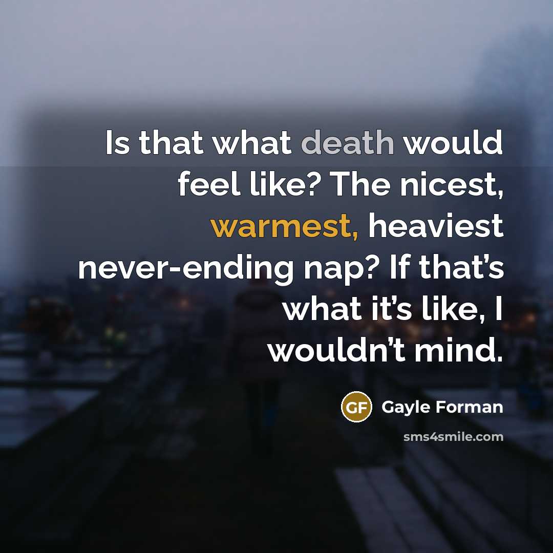 “Is that what death would feel like? The nicest, warmest,…” quote by Gayle Forman
