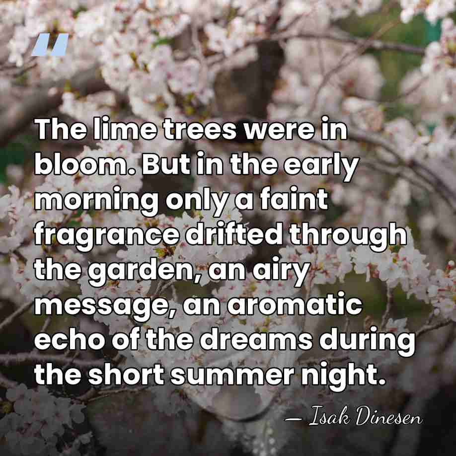 The lime trees were in bloom. But in the early morning only&hellip; - Isak Dinesen