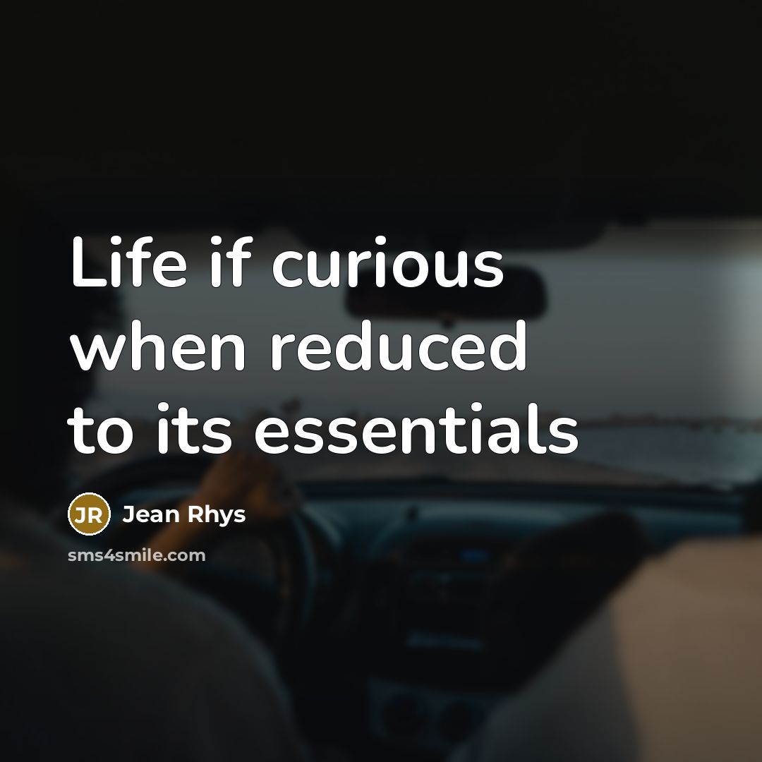 “Life if curious when reduced to its essentials…” quote by Jean Rhys