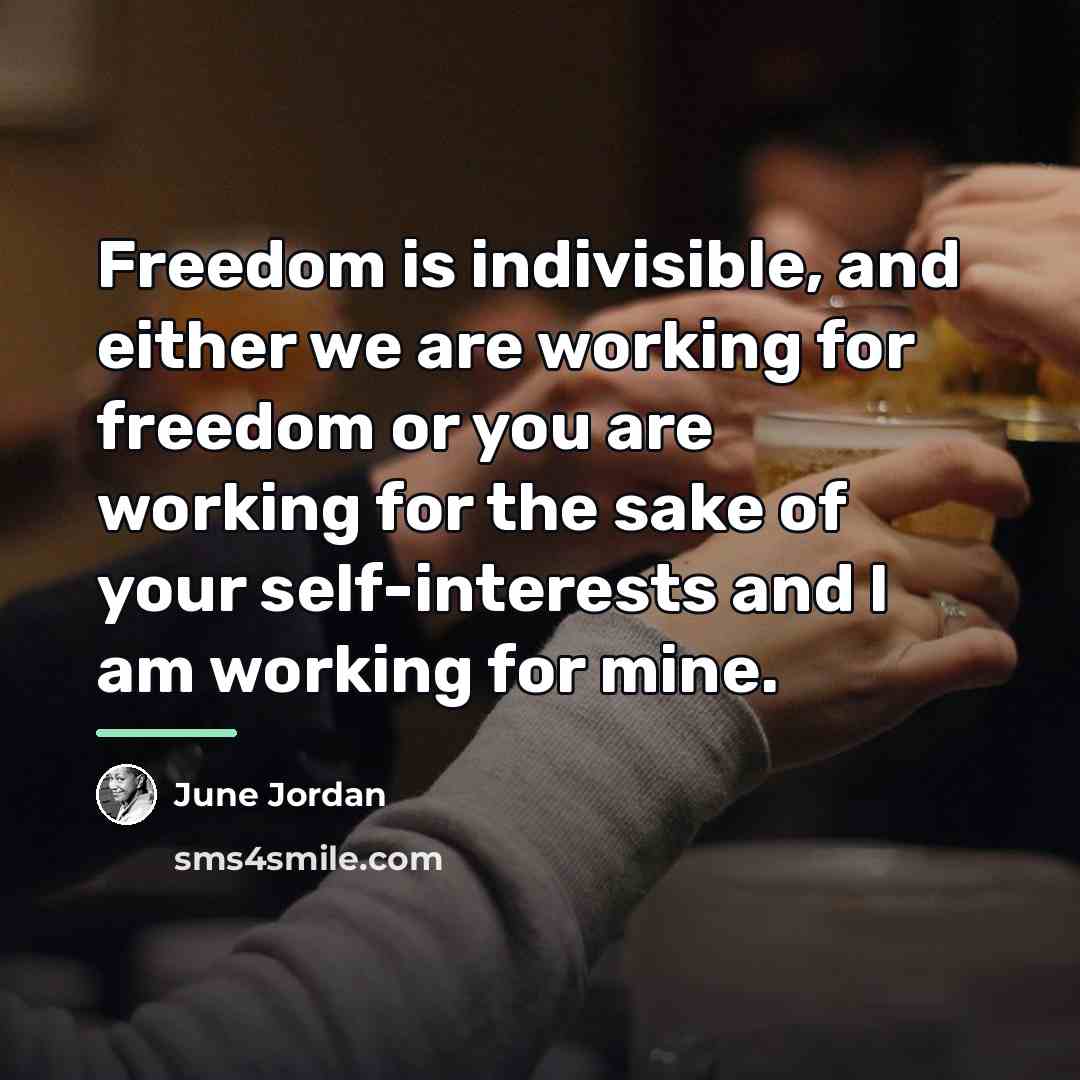 “Freedom is indivisible, and either we are working for freedom…” quote by June Jordan