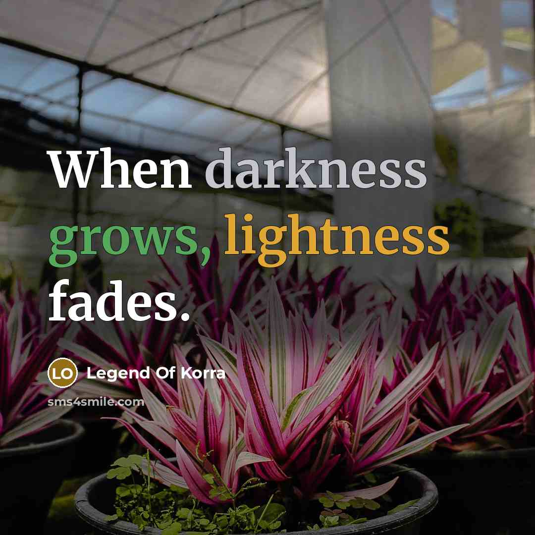 “When darkness grows, lightness fades.” quote by Legend Of Korra