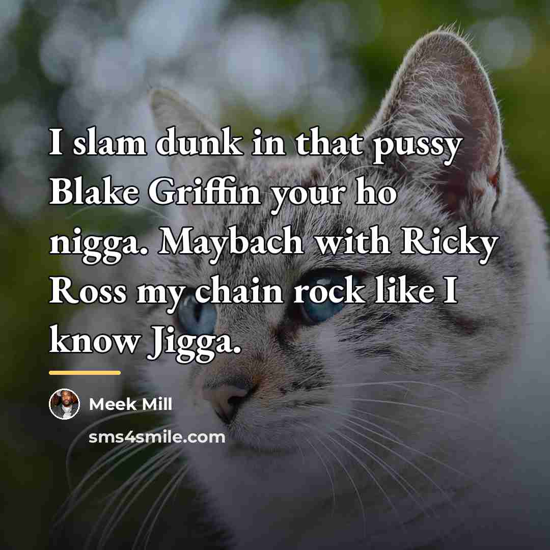 “I slam dunk in that pussy Blake Griffin your ho…” quote by Meek Mill