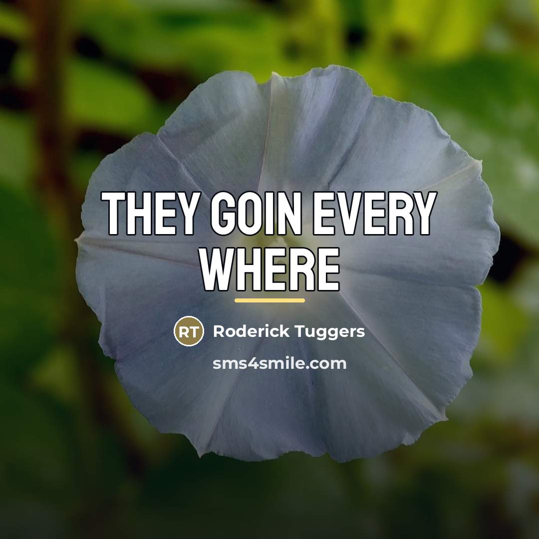 “They goin every where…” quote by Roderick Tuggers