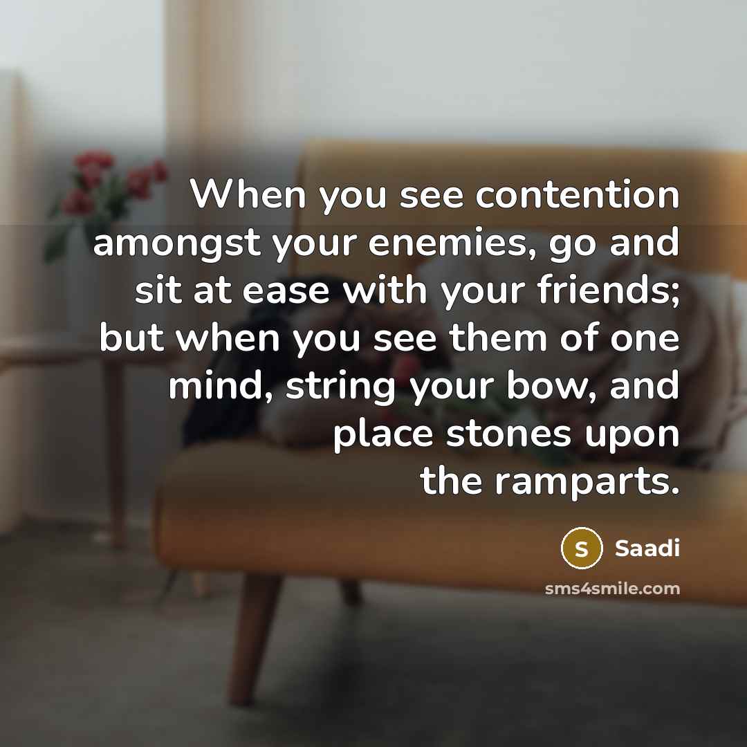 “When you see contention amongst your enemies, go and sit…” quote by Saadi