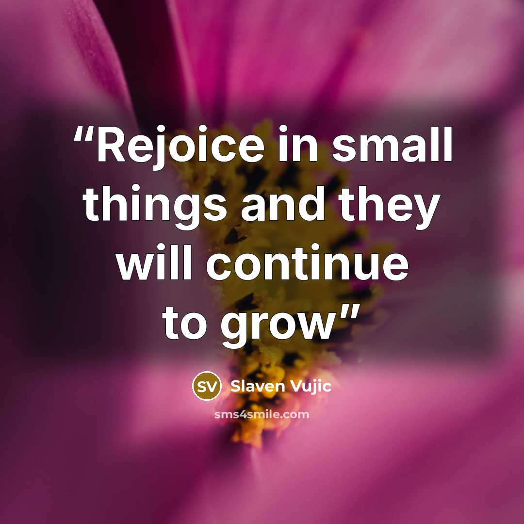 “Rejoice in small things and they will continue to grow” quote by Slaven Vujic