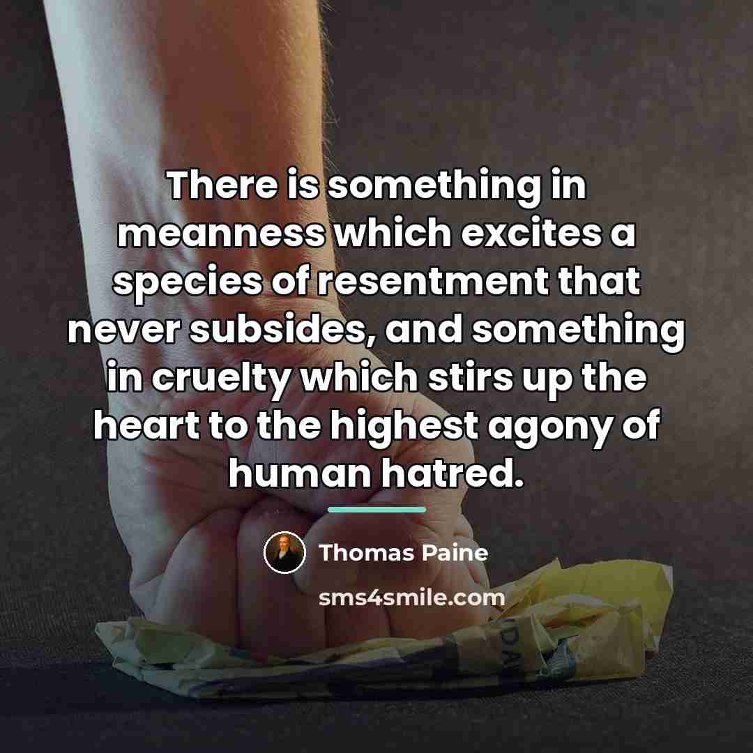 “There is something in meanness which excites a species of…” quote by Thomas Paine