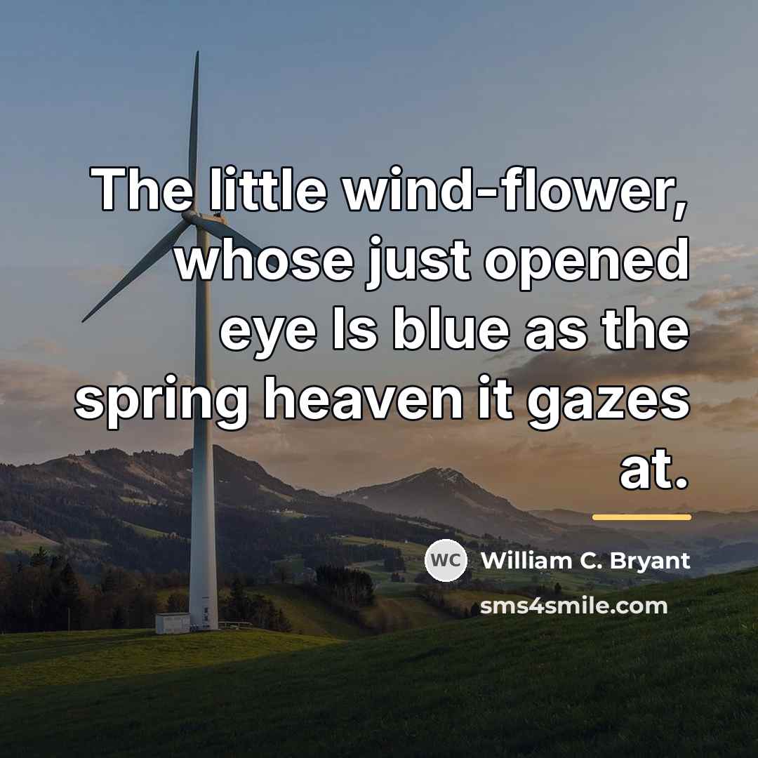 “The little wind-flower, whose just opened eye Is blue as…” quote by William C. Bryant