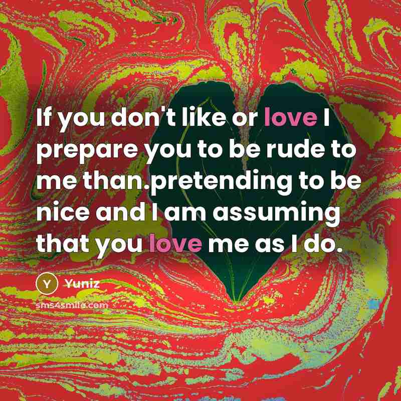 “If you don't like or love I prepare you to be rude to me than.pretending to be nice and I am assuming that you love me as I do.” quote by Yuniz