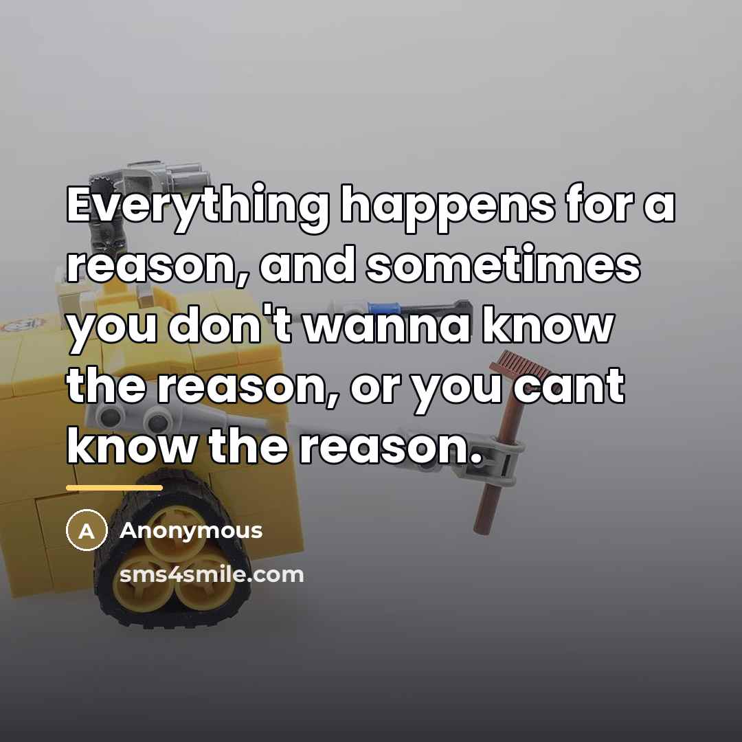 “Everything happens for a reason, and sometimes you don't wanna…” quote by Anonymous