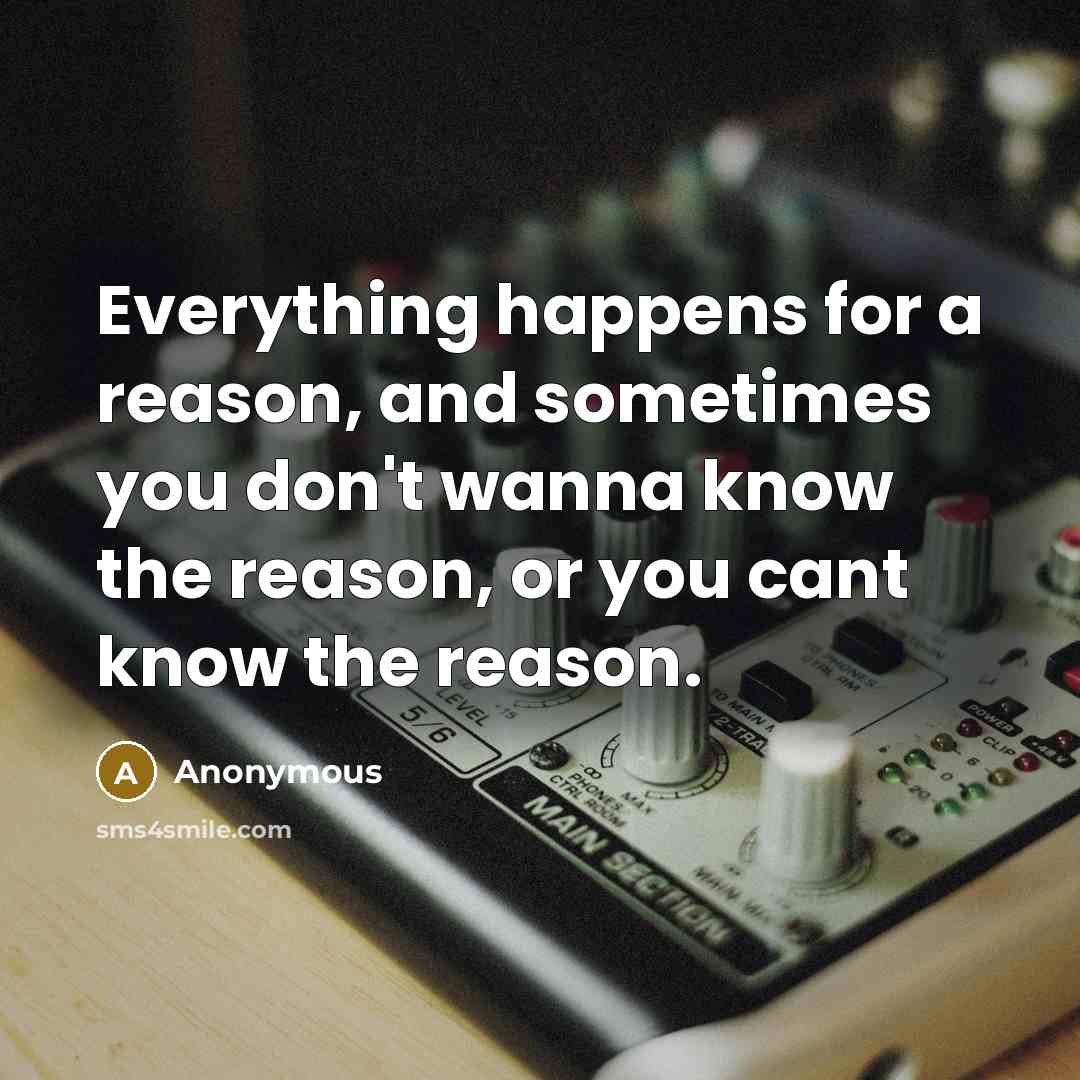 “Everything happens for a reason, and sometimes you don't wanna know the reason, or you cant know the reason.” quote by Anonymous