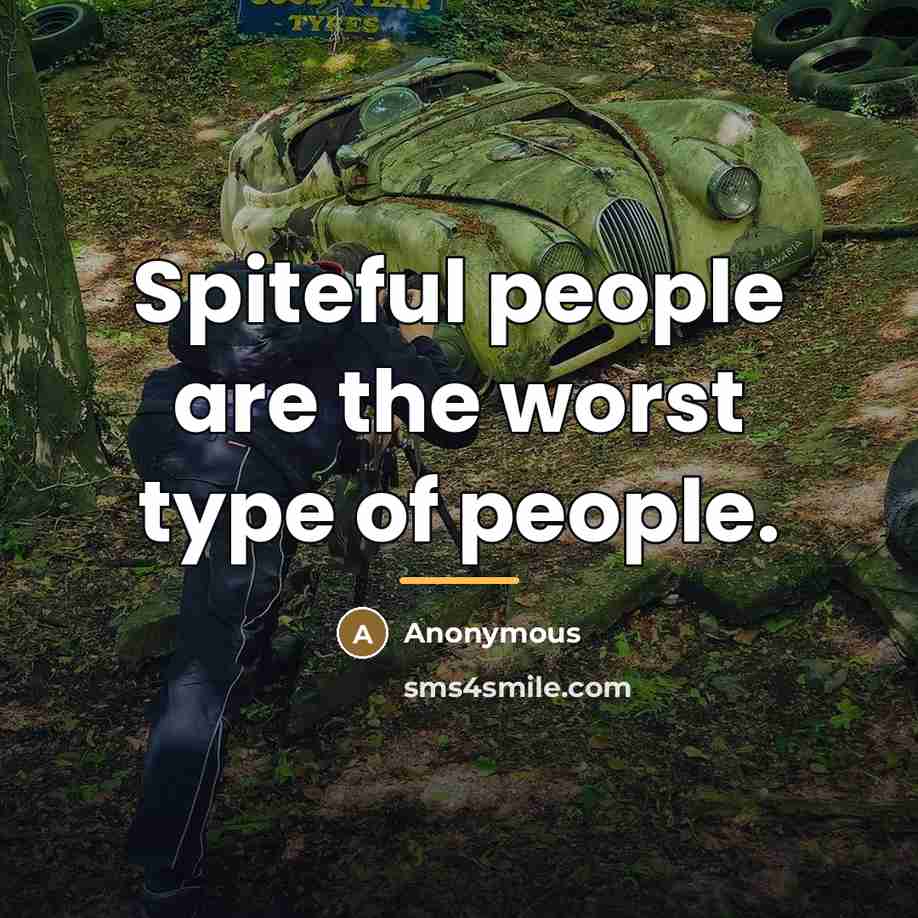 “Spiteful people are the worst type of people.…” quote by Anonymous