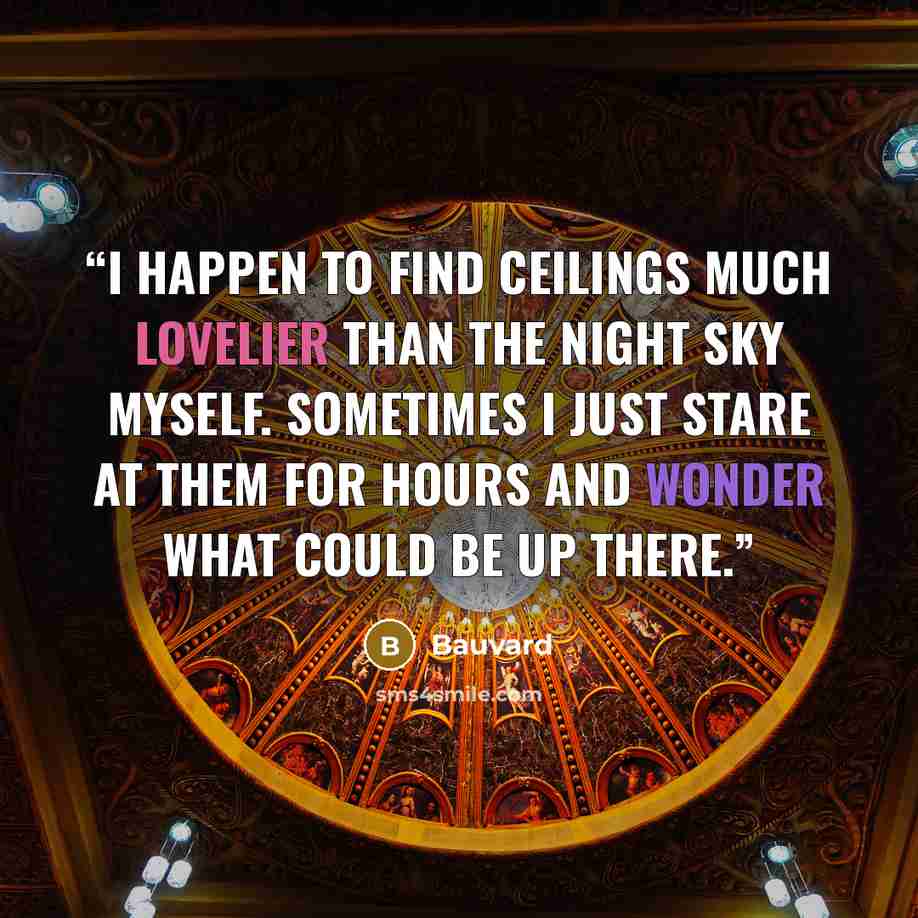 “I happen to find ceilings much lovelier than the night sky myself. Sometimes I just stare at them for hours and wonder what could be up there.” quote by Bauvard