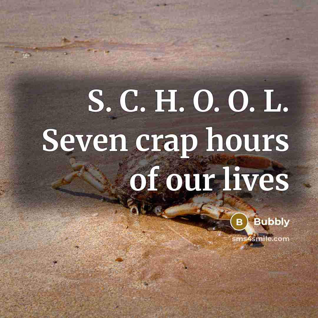 “S. C. H. O. O. L. Seven crap hours of…” quote by Bubbly