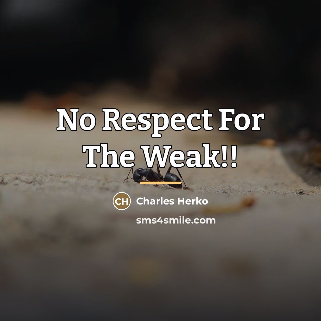 “No Respect For The Weak!!…” quote by Charles Herko