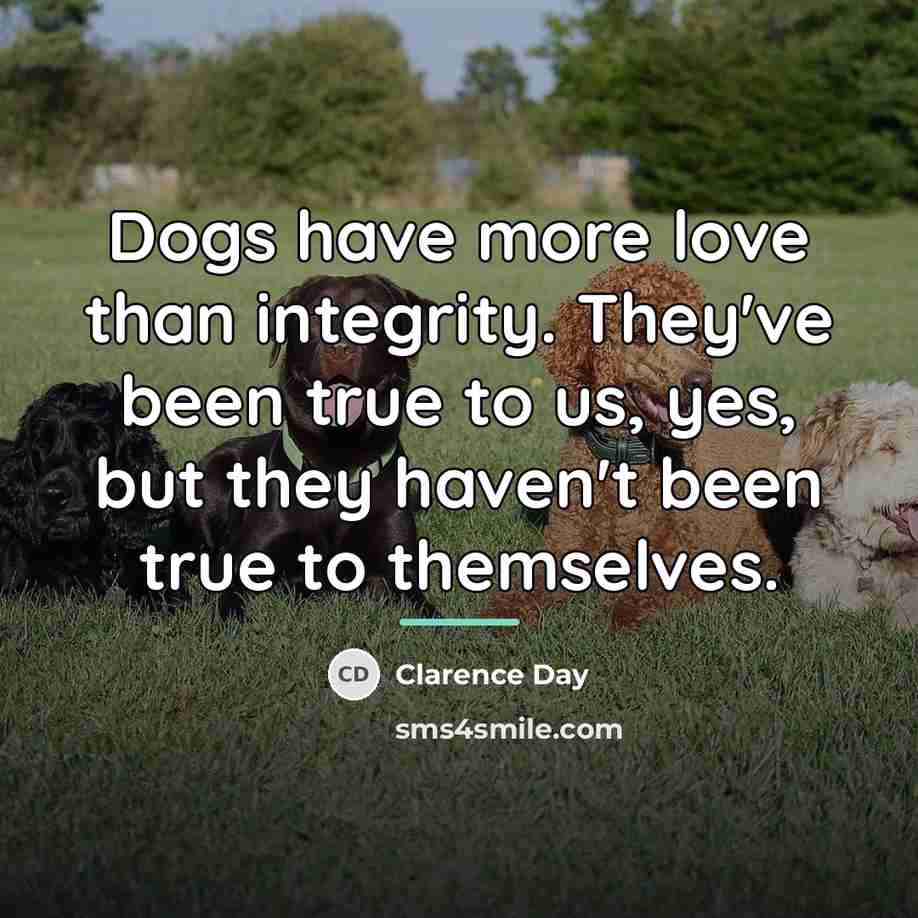 “Dogs have more love than integrity. They've been true to…” quote by Clarence Day