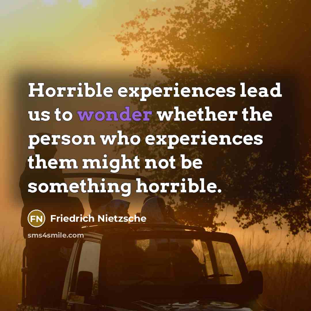 “Horrible experiences lead us to wonder whether the person who experiences them might not be something horrible.” quote by Friedrich Nietzsche