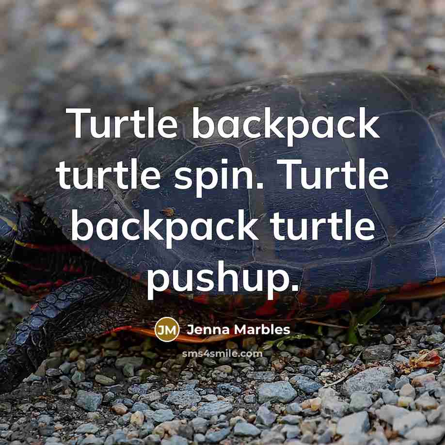 “Turtle backpack turtle spin. Turtle backpack turtle pushup.” quote by Jenna Marbles