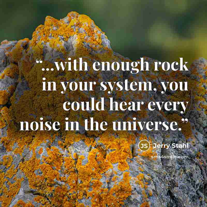 “...with enough rock in your system, you could hear every noise in the universe.” quote by Jerry Stahl
