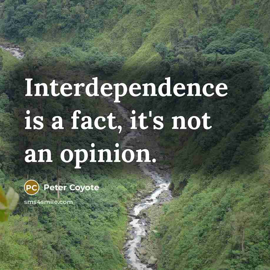 “Interdependence is a fact, it's not an opinion.” quote by Peter Coyote