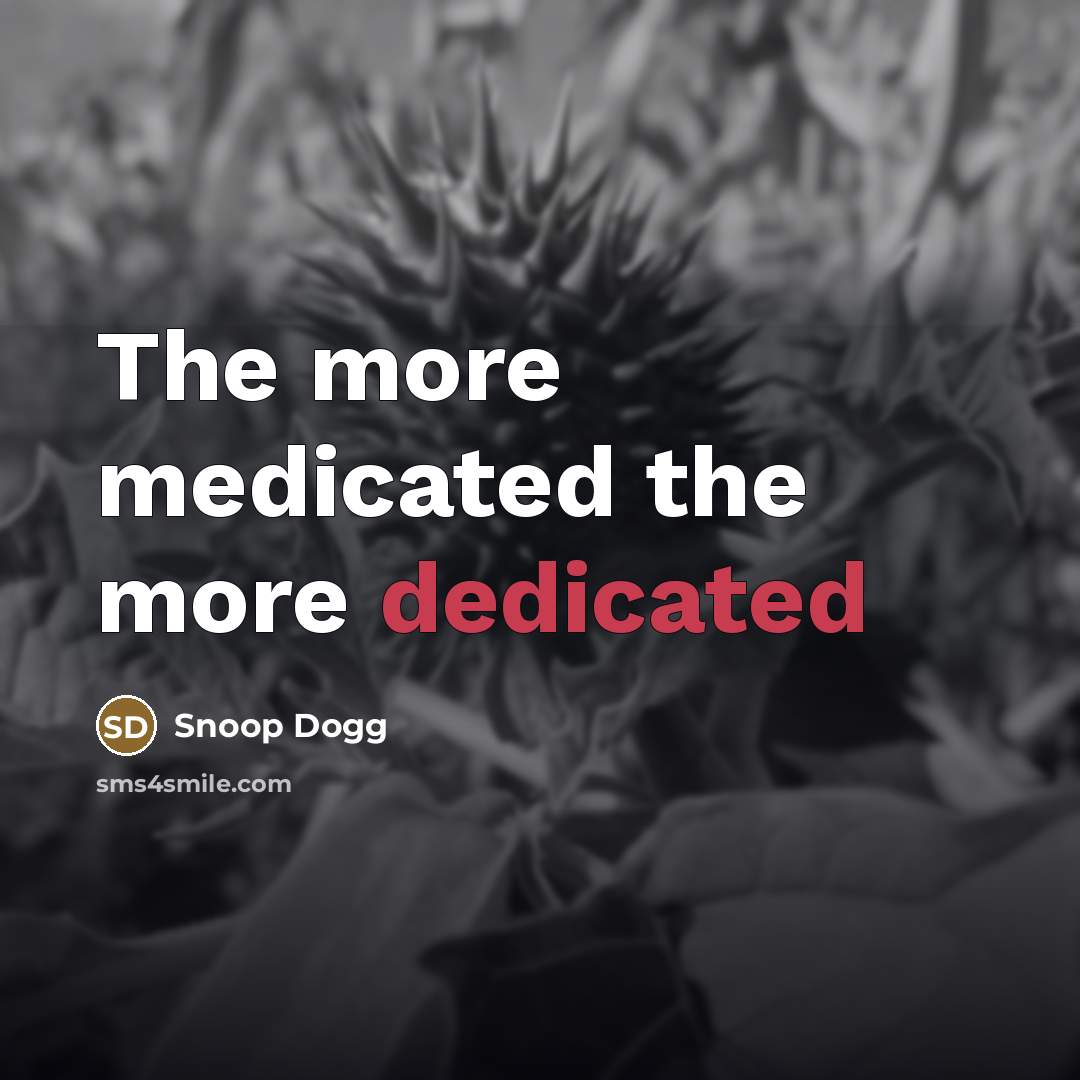 “The more medicated the more dedicated…” quote by Snoop Dogg