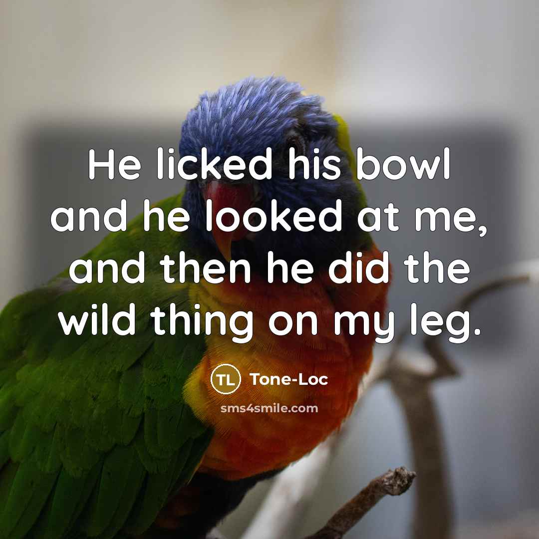 “He licked his bowl and he looked at me, and…” quote by Tone-Loc