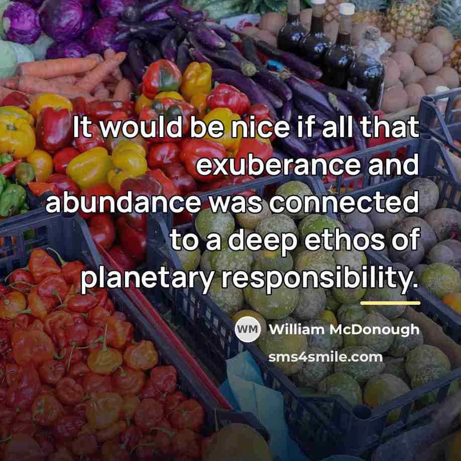 “It would be nice if all that exuberance and abundance…” quote by William McDonough