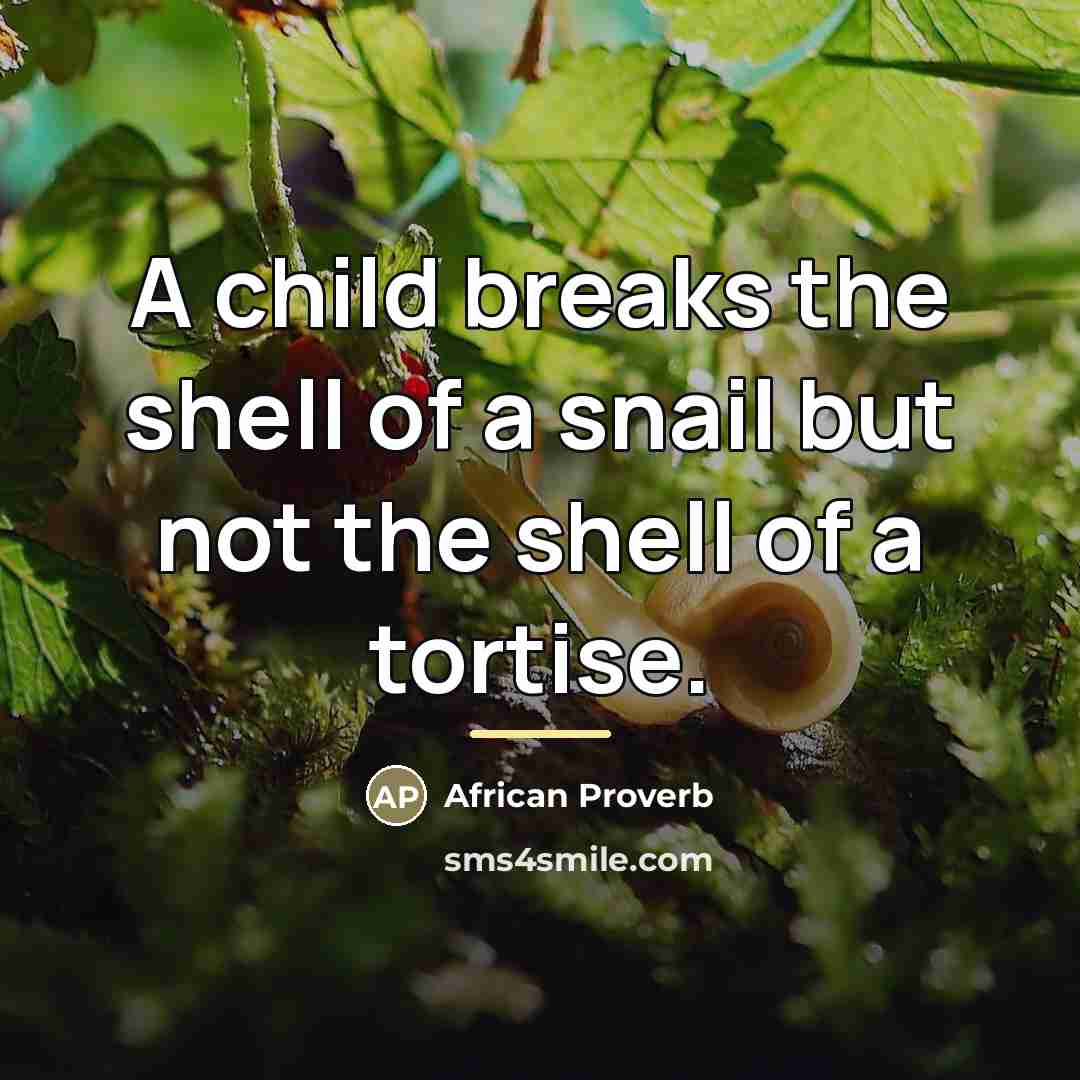 “A child breaks the shell of a snail but not…” quote by African Proverb