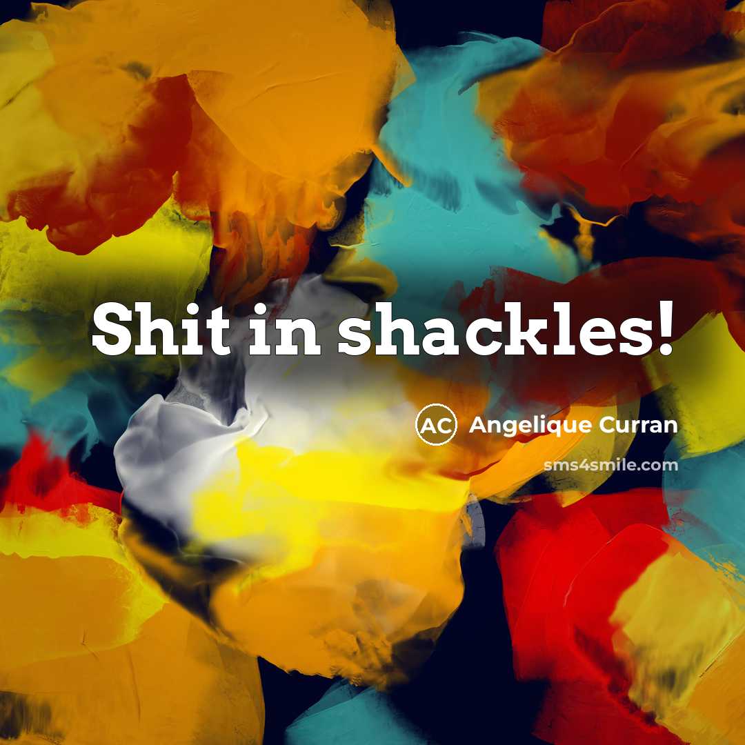 “Shit in shackles!…” quote by Angelique Curran