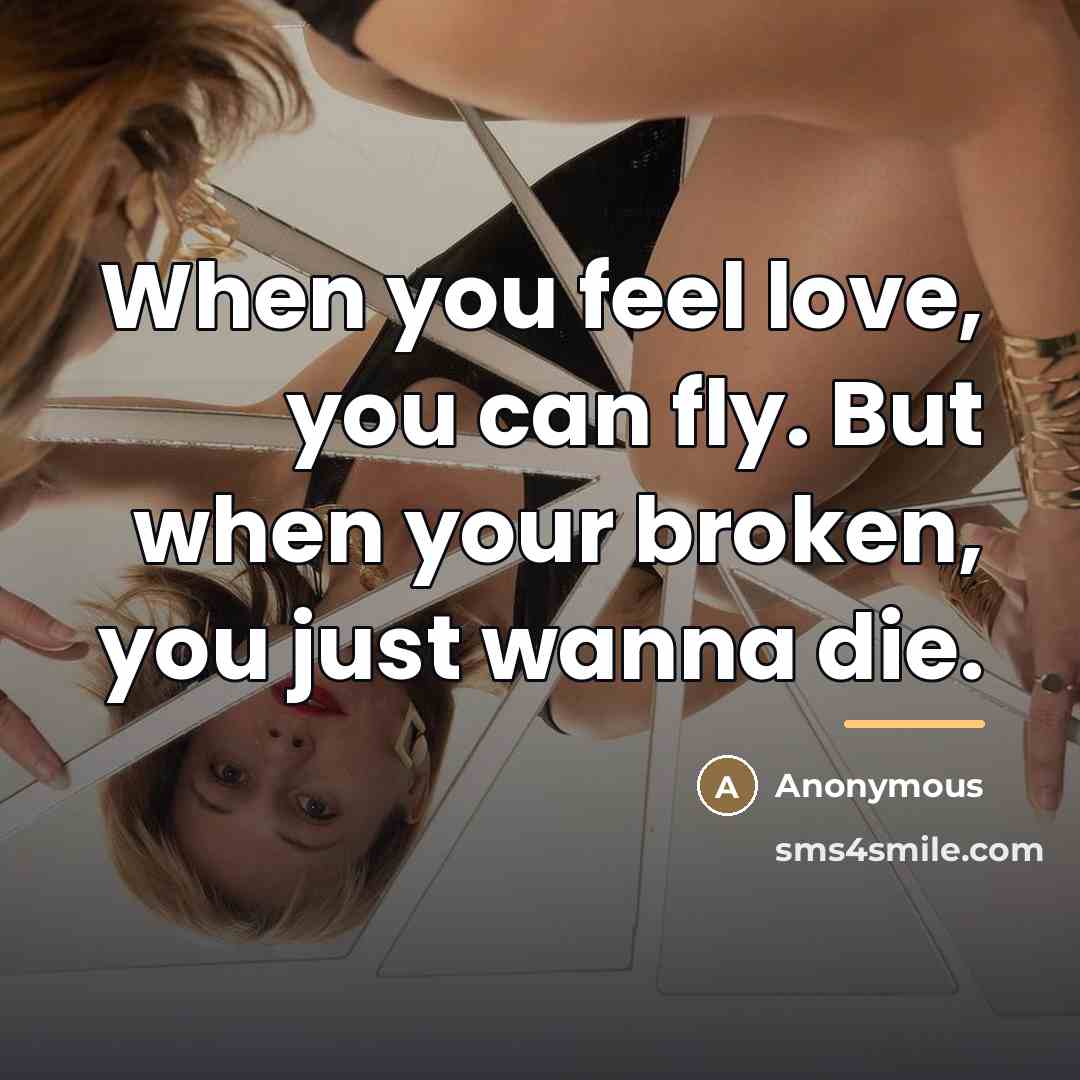 “When you feel love, you can fly. But when your…” quote by Anonymous