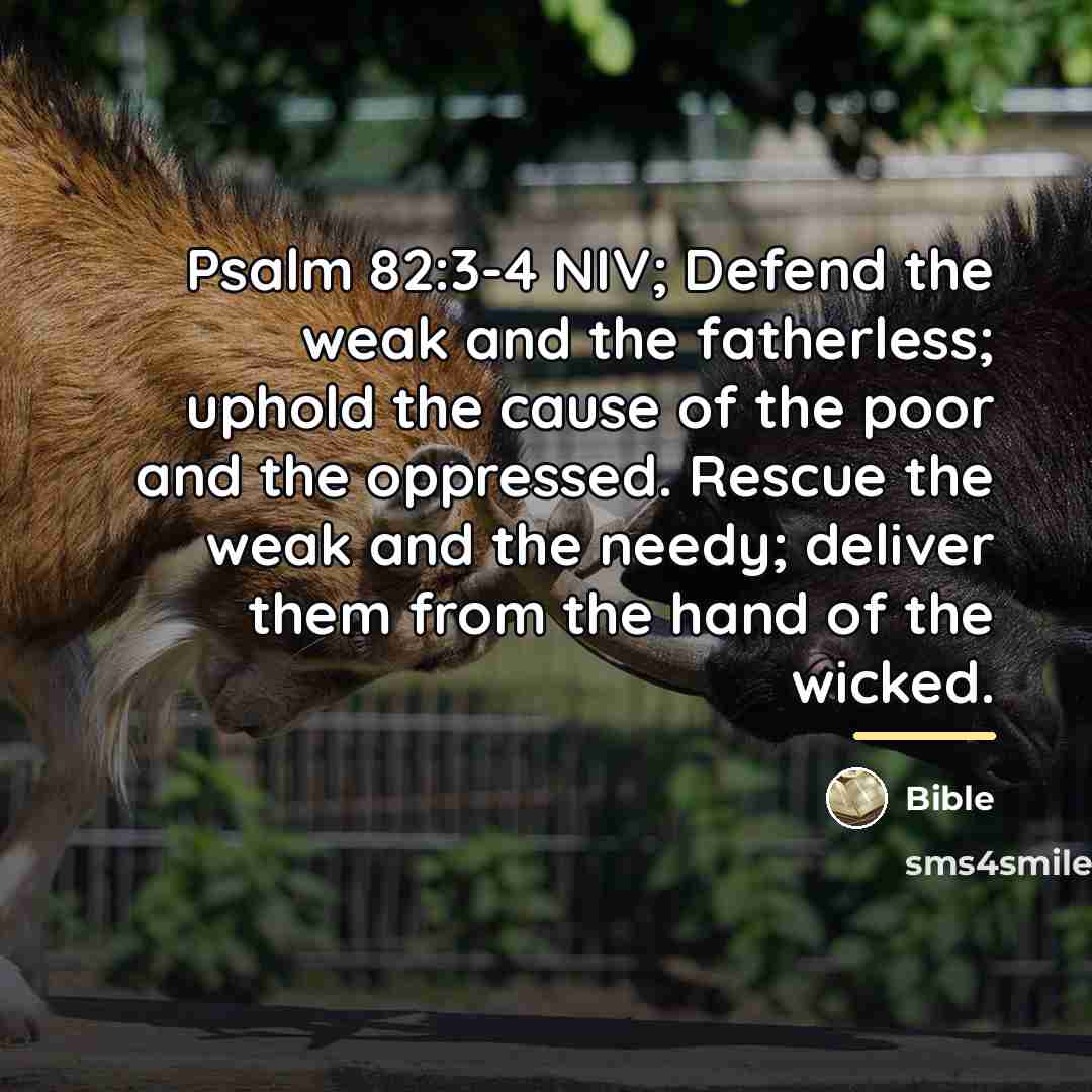 “Psalm 82:3-4 NIV; Defend the weak and the fatherless; uphold…” quote by Bible