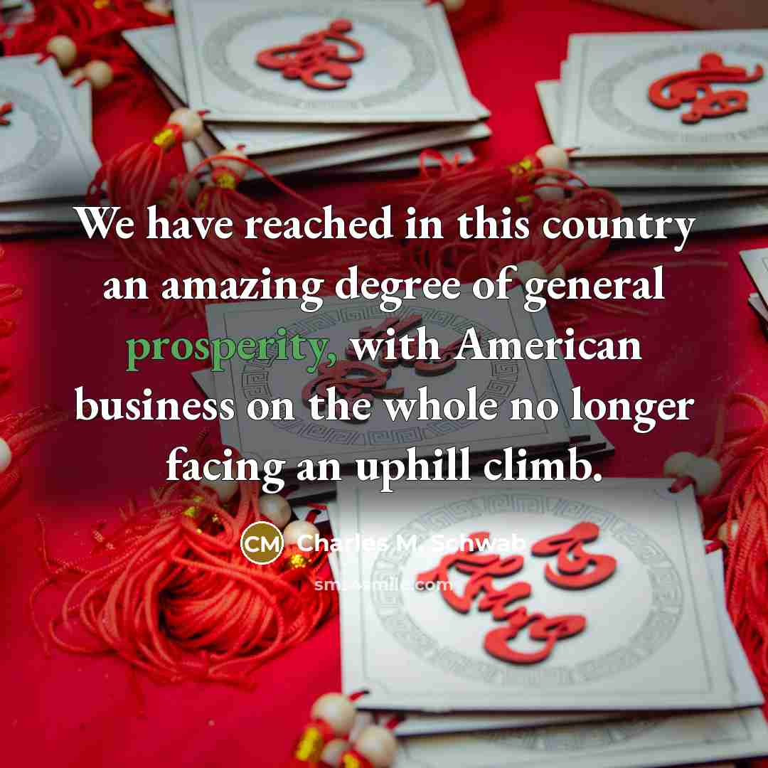“We have reached in this country an amazing degree of…” quote by Charles M. Schwab