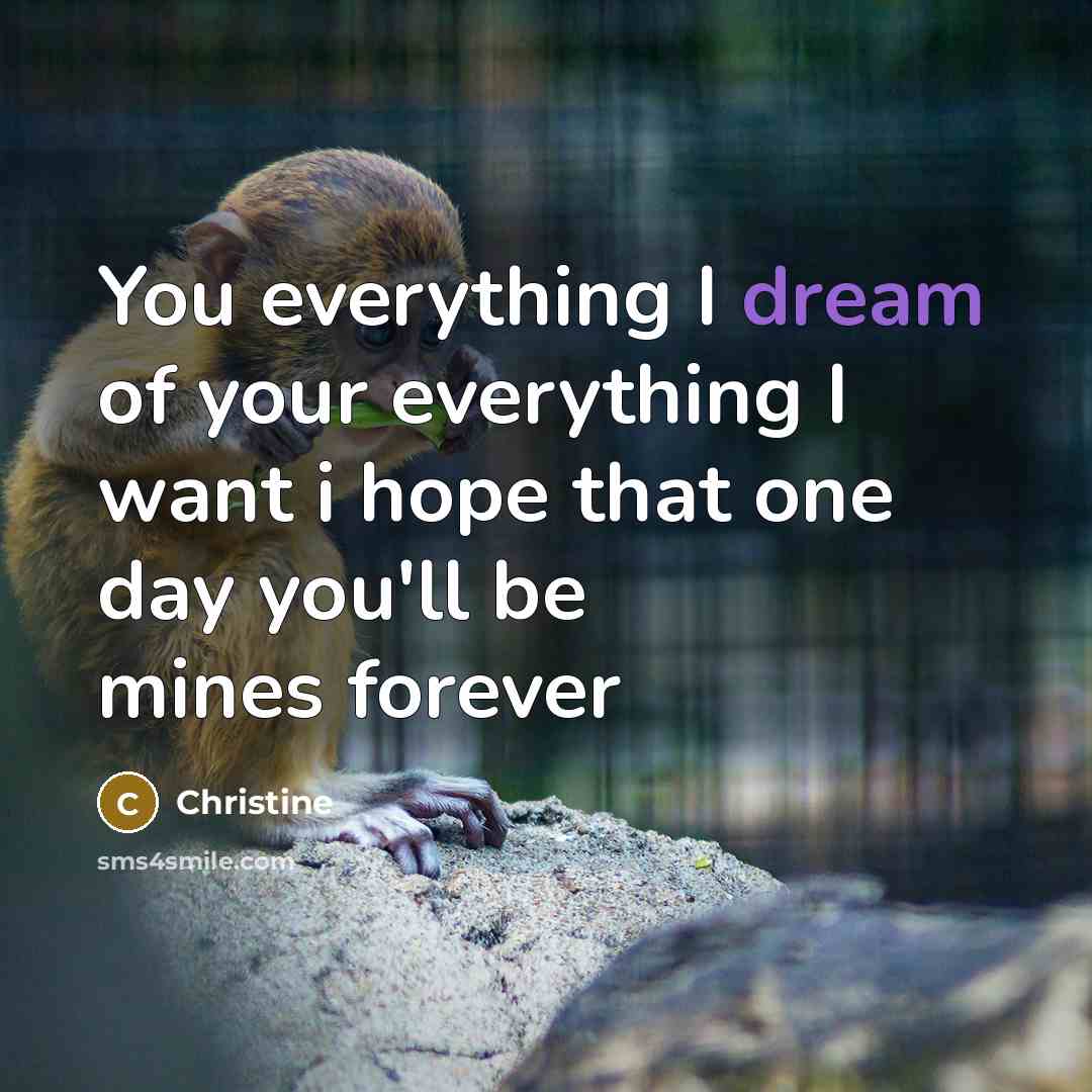 “You everything I dream of your everything I want i…” quote by Christine