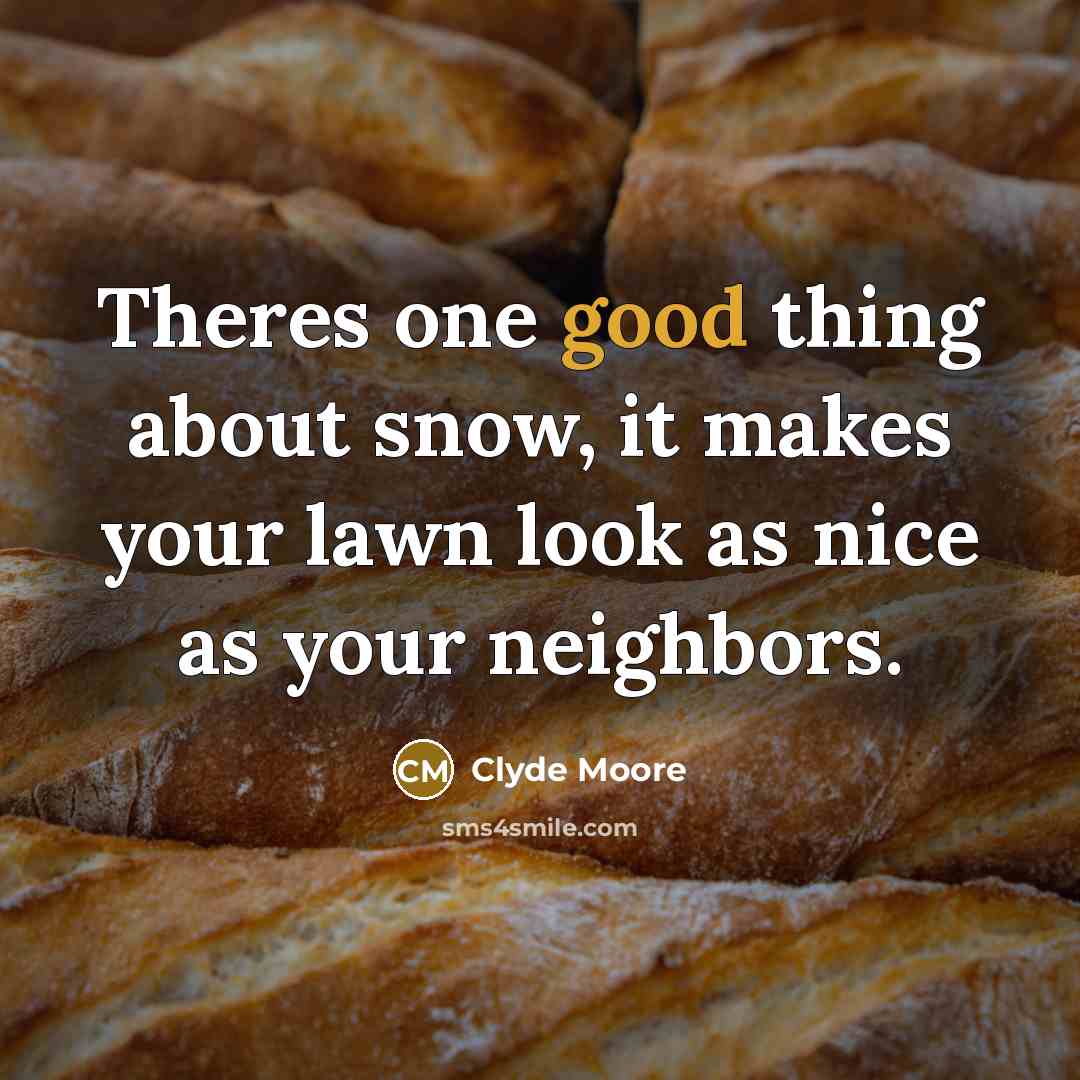“Theres one good thing about snow, it makes your lawn look as nice as your neighbors.” quote by Clyde Moore