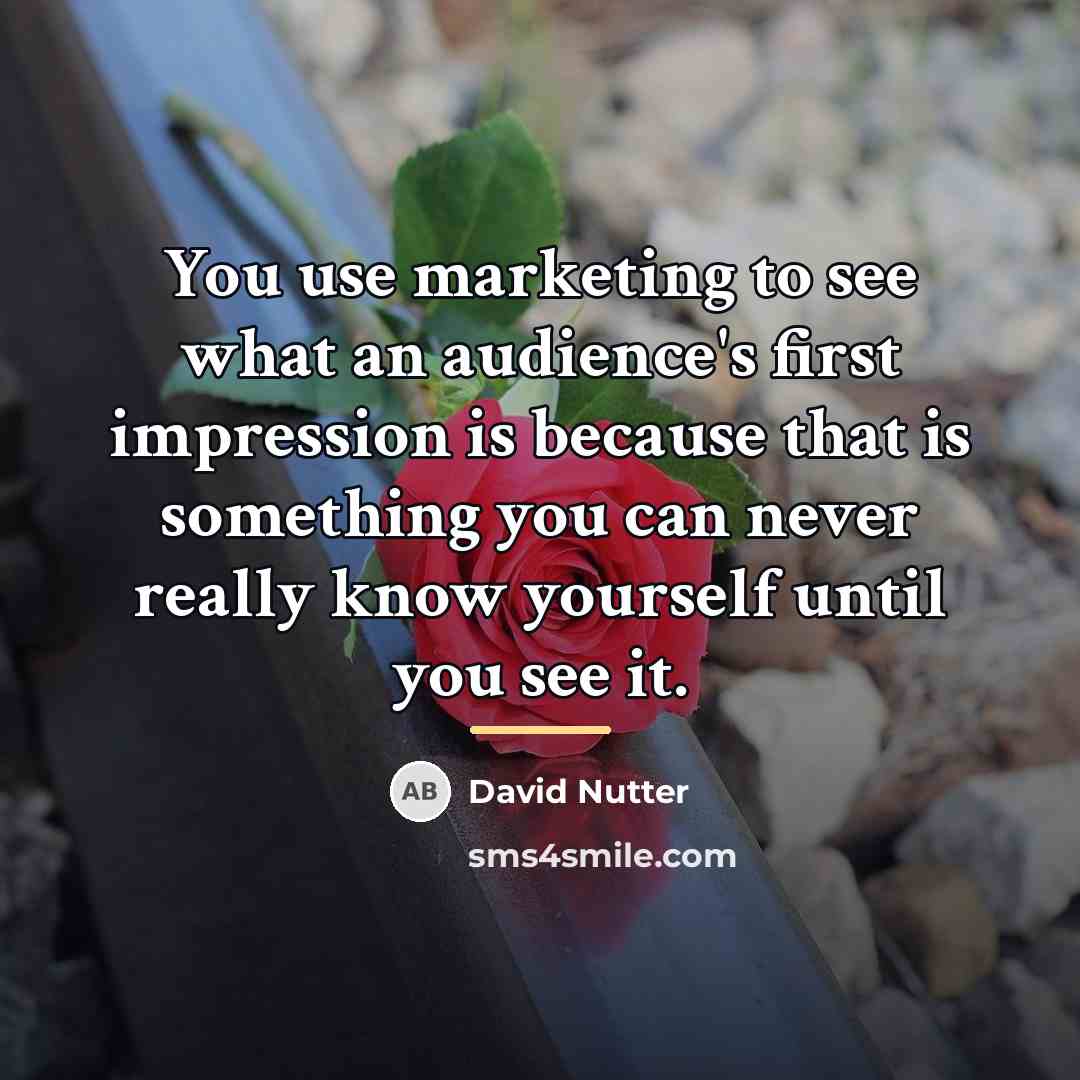 “You use marketing to see what an audience's first impression…” quote by David Nutter