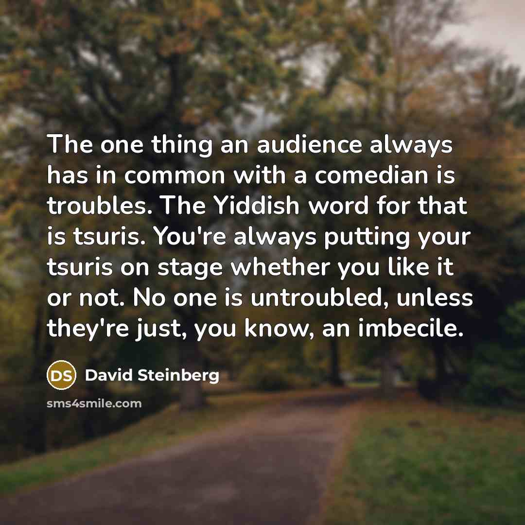 “The one thing an audience always has in common with…” quote by David Steinberg