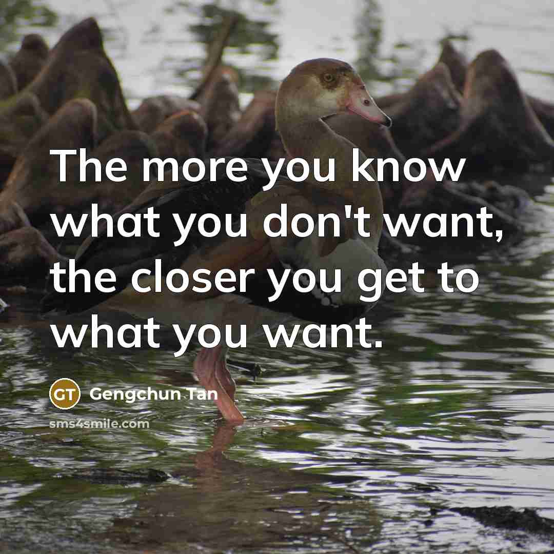 “The more you know what you don't want, the closer you get to what you want.” quote by Gengchun Tan