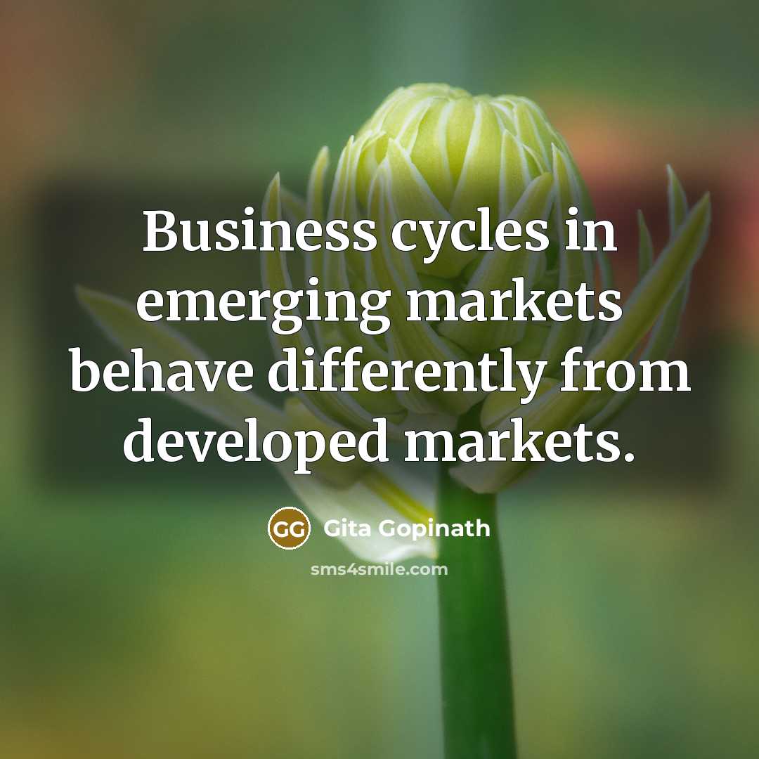 “Business cycles in emerging markets behave differently from developed markets.…” quote by Gita Gopinath